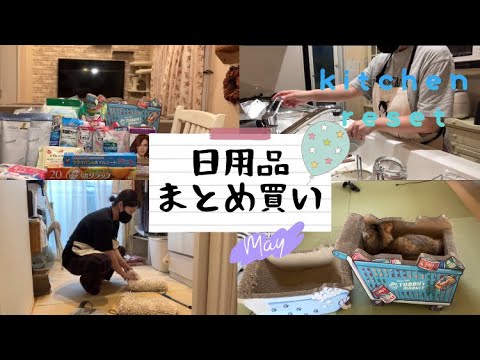 【小学生中学生ママ】ドラッグストアで買ったもの〜オーサムストアの爪研ぎ🐱キッチンリセット/購入品紹介