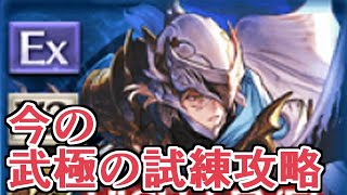 今が集め時な『武極の試練』。現環境で攻略しやすかった装備ゆるめ編成とか紹介【グラブル】