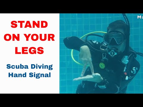 Stand On Your Legs - Scuba Diving Hand Signal