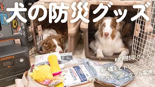 我が家の犬用の防災グッズ紹介をします！🐾備えとしてポータブル電源も導入しました！【Jackery 1000 New 】