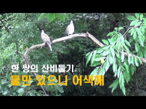 둘만 있으니 어색해[기억나누기]