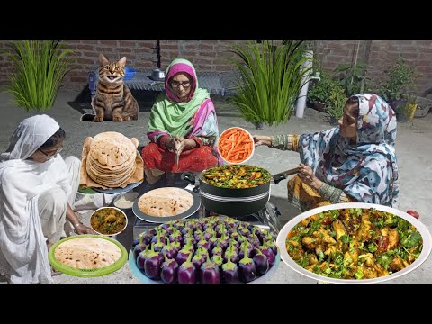 Village Life | Village Night Dinner Routine with Eggplant Carrot Chicken Recipe | Irma's Pakistani