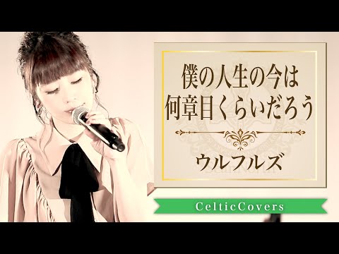 僕の人生の今は何章目くらいだろう / ウルフルズ【ケルティックアレンジ】Cover by SeanNorth