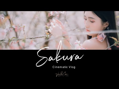 Sakura | Cinematic Vlog Shot with Sony A7s3 ｜大熊櫻花林｜動態影像人物誌3月VOL.2