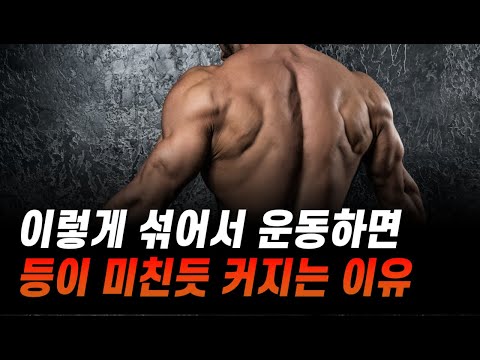 등 근육 광배근 자극이 가장 잘 오는 운동 ㄷㄷ (feat. 원암 랫풀다운, 시티드 로우)