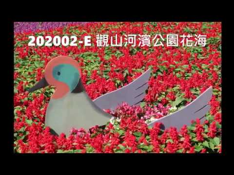 202002 E 觀山河濱公園花海