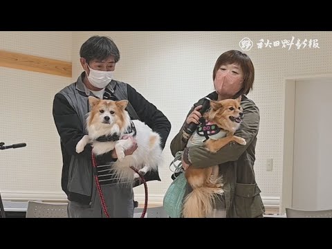 藤里町で保護された犬１３匹、譲渡先家族と共に“再会”　ワンニャピアで「クラス会」