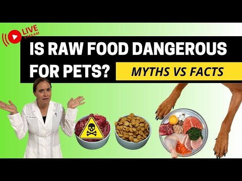 Why Vets Hate Raw - Myths vs Truths from a Holistic Vet