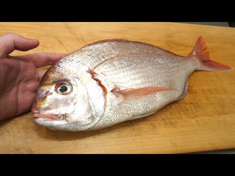 タイ（チダイ）のさばき方とフライの作り方「白身魚のフライ」　　Fried sea bream