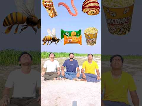 Eating gems, biscuit, Fly, popcorn, worm, Taco, Croissant, Bee, Cheese, Ketchup, magic'  video