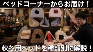 【店内解説シリーズ】ベッドコーナーからお届け！犬用秋冬ベッドを種類別に解説します！