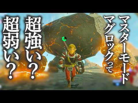 マスターモードのマグロックと初対戦！めざせ免許皆伝！【ゼルダの伝説 ブレスオブザワイルド】#44