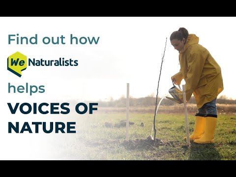 Find how WeNaturalists helps Nature Activists transform into stronger Voices of Nature