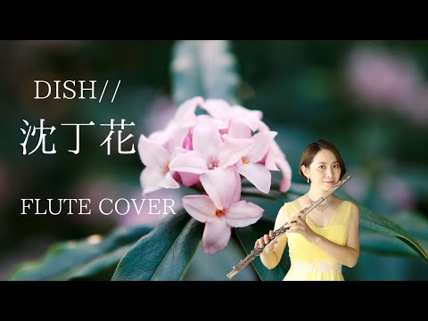 【歌うフルート】DISH//「沈丁花」をフルートで吹いてみた！