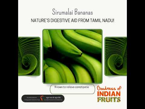 Sirumalai Bananas from Tamil Nadu