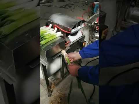 🧅Green Onion Peeling Machine  #rootcutting #onlineshopping  #sourcing #peelingmachine #onionprocess