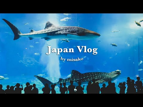 Travel in Okinawa🚗American Village, Churaumi Aquarium, Ryukyu Kingdom｜Misako's Japan Vlog#1