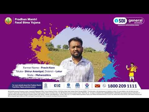 Maharashtra's Agricultural Empowerment: PMFBY Success Stories