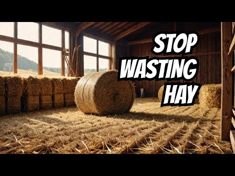 🐴💡Slow Feed Hay Net Hack SAVES You Hundreds of Dollars! 🥕✨