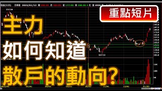 主力如何知道散戶的動向? | 廖兄的量價股市教學