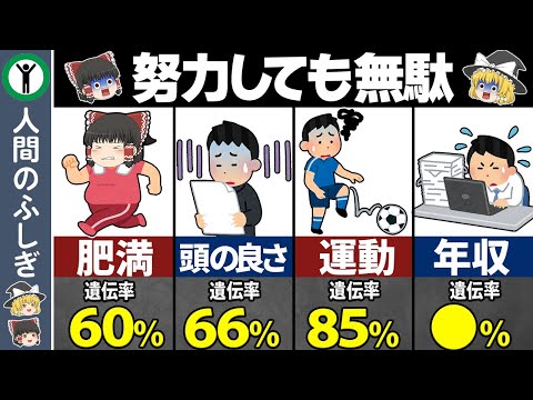 遺伝の影響が大きい特徴5選【ゆっくり解説】