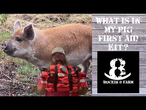 My Pig First Aid Kit | Idaho Pasture Pigs