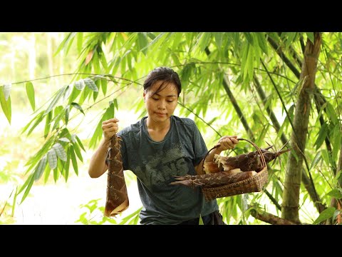 A 22years Old and Single Living in the Countryside (Philippines) Bamboo Shoots for Meal  (Bohol)