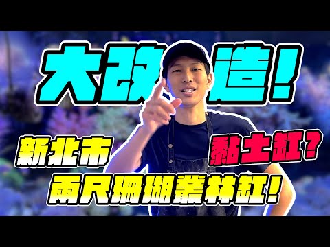 【藍箱水族】大改造更換造景！神奇黏土！魚缸翻缸GO！