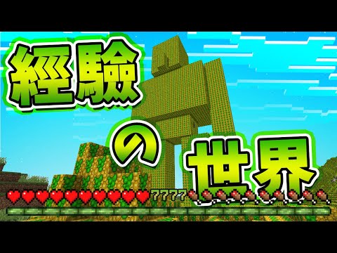 【Minecraft】引爆經驗值的核彈？！滿滿經驗值的世界！一秒升級９９９９等💚中文字幕｜麥塊【模組】