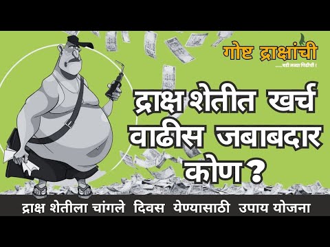 गोष्ट द्राक्षांची :1| द्राक्ष शेतीत खर्च वाढीला जबाबदार कोण |द्राक्ष शेतीत खर्चवाढी बाबत  उपाययोजना