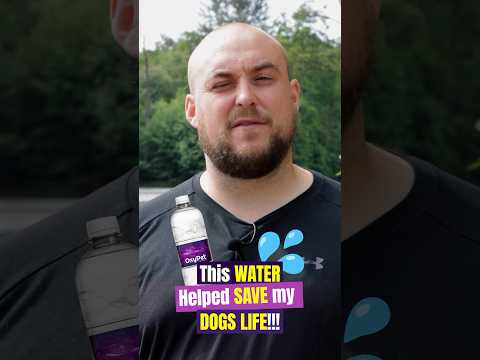 OxyPet | Nano-Bubble Oxygen Water | Will & Bruce Pt 1 #healthypets #naturalpet #dog