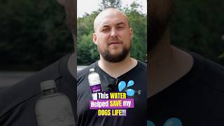 OxyPet | Nano-Bubble Oxygen Water | Will & Bruce Pt 1 #healthypets #naturalpet #dog