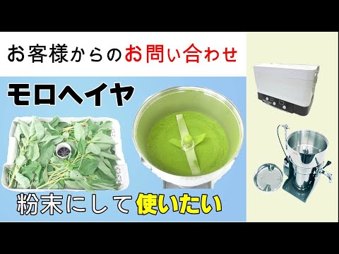 モロヘイヤを乾燥させて粉末にしてパンや麺に入れたい【お問い合わせ】