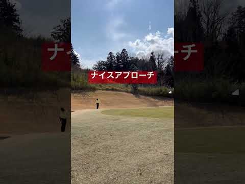 【ヘッドを低く出す】ナイスなアプローチ⛳️#youtube #shorts #ゴルフ #ラウンド動画 #アプローチ #ゴルフ上達 #ゴルフレッスン #打ち方 #練習 #100切り #ゴルフ初心者