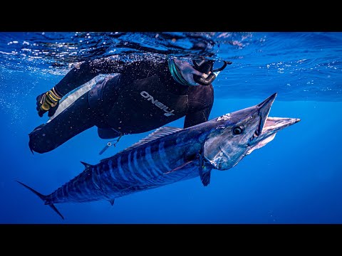 My Father’s FIRST WAHOO - Years of Challenges and Close Calls