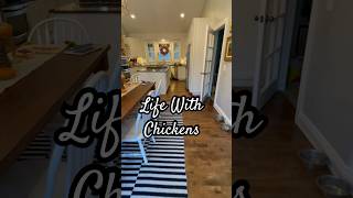 What we feed our chickens #countrylifevlog #petchickens #farmhousekitchen