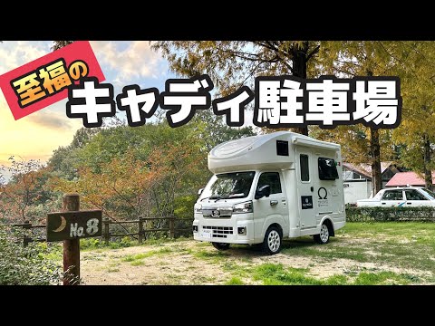 こんなキャディ駐車場なら一生住める😁【大王製紙エリエールレディスオープン】