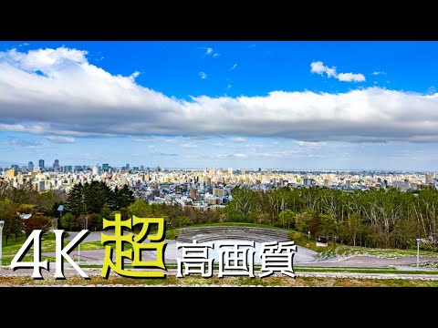 札幌の自然公園をシネマティック体験する動画 #北海道 #hokkaido  #nature