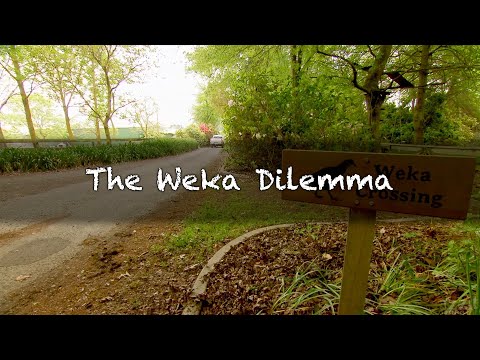 The Weka Dilemma