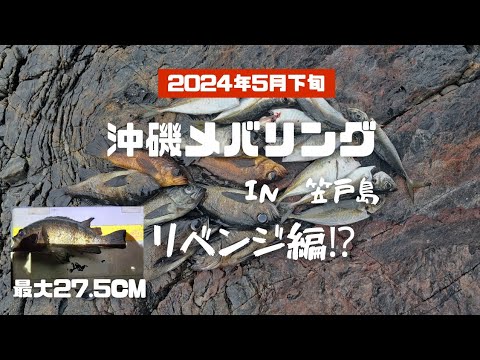 【沖磯メバリング】in笠戸島　リベンジ編⁉️