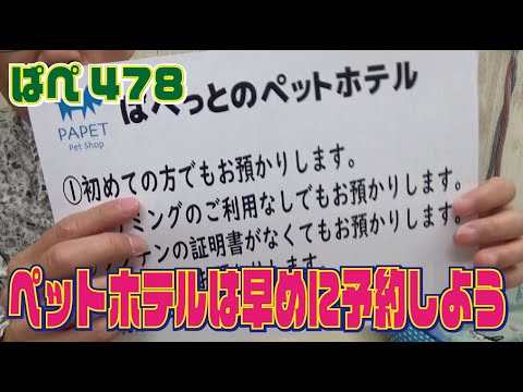 ペットホテルはお早めに予約してください～ぱぺ478