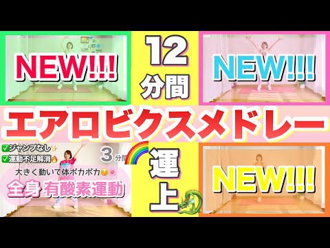 【12分間】オリジナルエアロビクスメドレーで体を動かして運気を上げていこう！！🐉🌈