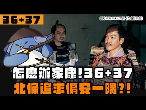 【怎麼辦家康】第36+37集 | 秀吉不再追求和平？北條想偏安一隅和平過日？