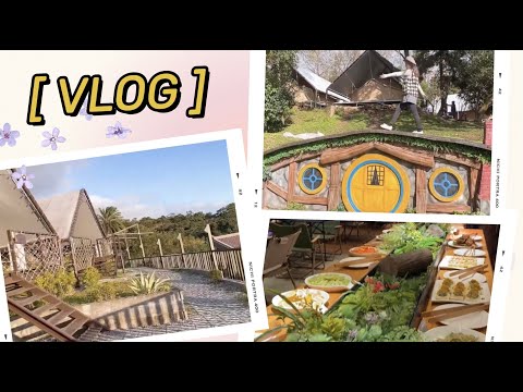 Vlog💛豪華露營一日遊😍陽明山藍鵲菲菲🦅附衛浴帳篷、下午茶☕️、烤棉花糖、陽明山夜景🌃