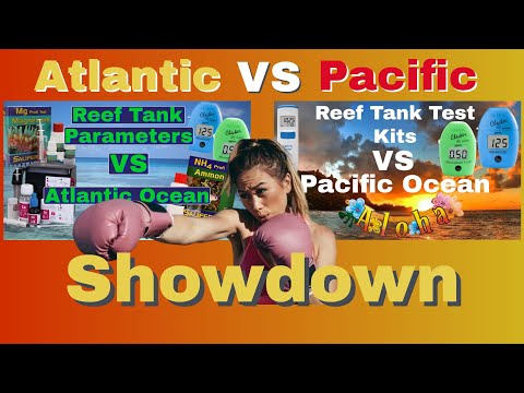 Atlantic Ocean Pacific Ocean Reef Tank Test Kit Showdown (Which Ocean Won This 2021 Fight)