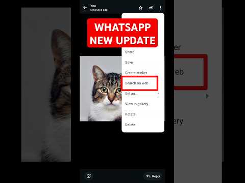 WhatsApp New Update | Search On Web | New WhatsApp Update | WhatsApp New Update 2024