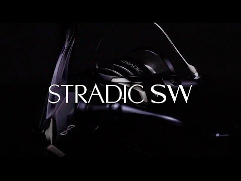 NEW FOR 2024: Stradic SW B