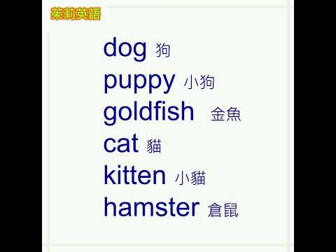 動物英文單字-3。用有趣的單字記憶通，快速記憶6個英文單字。#shorts #英文單字 #動物英文。