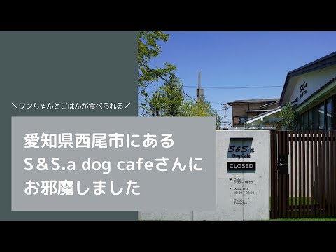 オープン前のS＆S.a dogcafeさんにおじゃましてみました｜イシハラスタイル愛知県