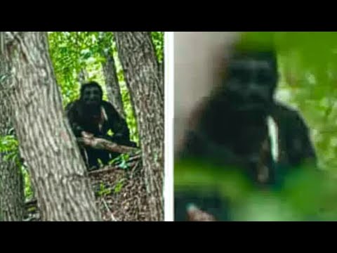 Bigfoot Has Been CAPTURED During The Final Season of Expedition Bigfoot!